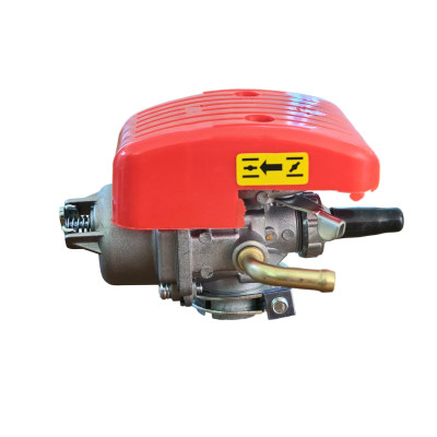 BoFeng 19mm Carburetor 66cc 80cc 100cc Red Air Filter 2 stroke Motorised Bike